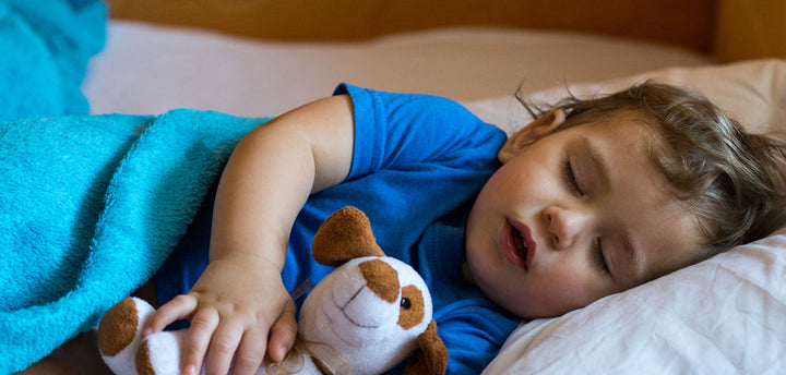 Toddler sleeping with a stuffed animal