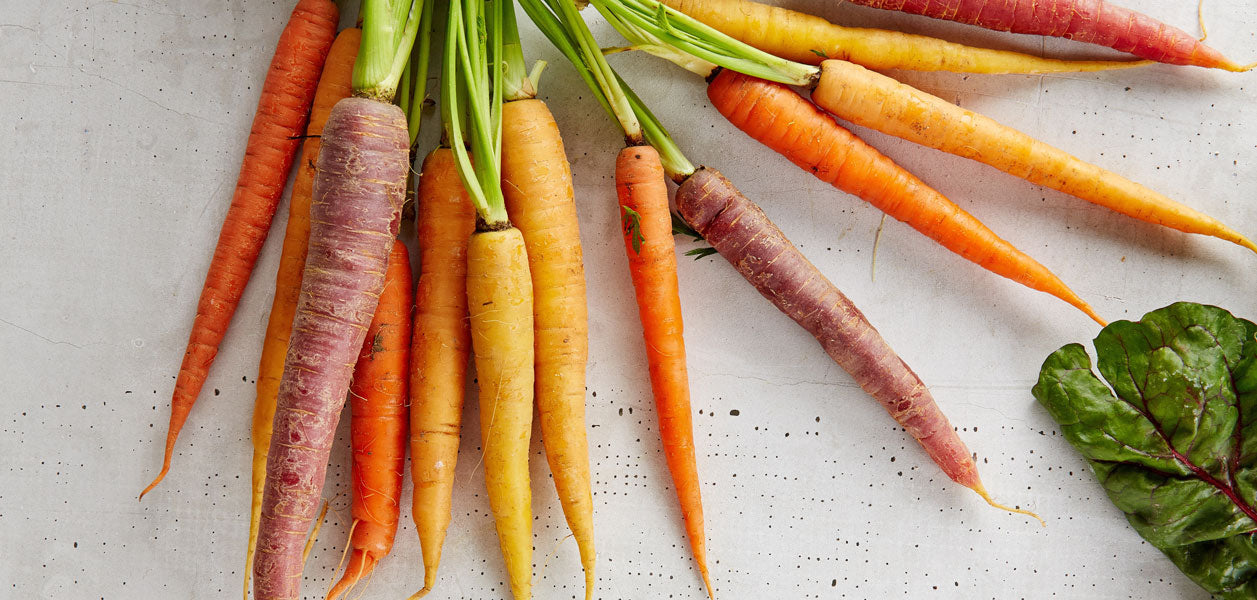 Red, orange and yellow carrots with stems laid out on a white surface