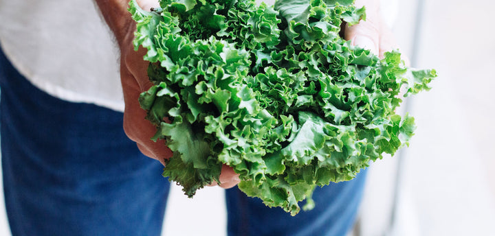 Man holding a bunch of kale