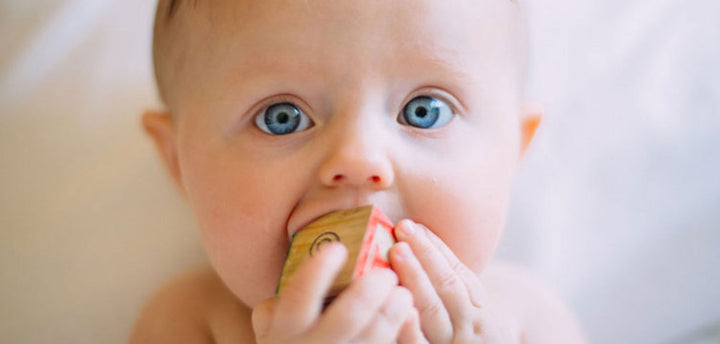 Young baby chewing on a block