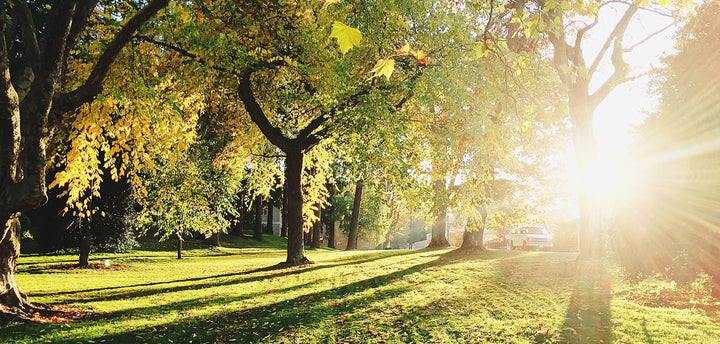 Green park