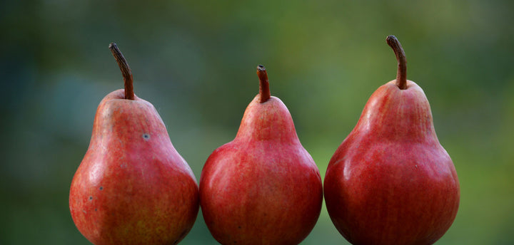 Three red pears in a row