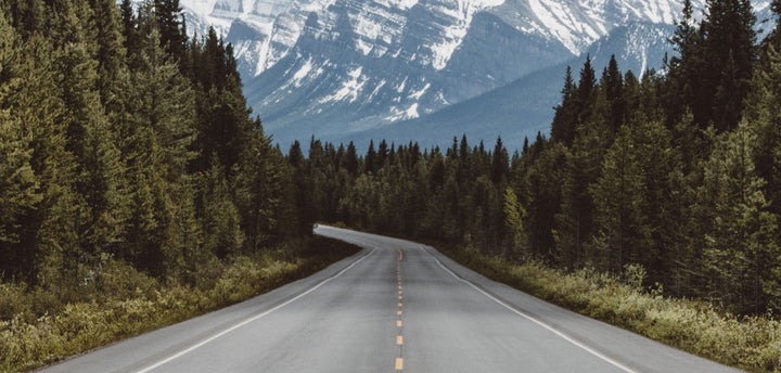Gray pavement road surrounded by trees taken at daytime